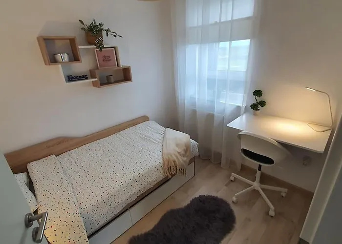 Cozy Flat With Terrace And Free Garage Parking ブラショフ